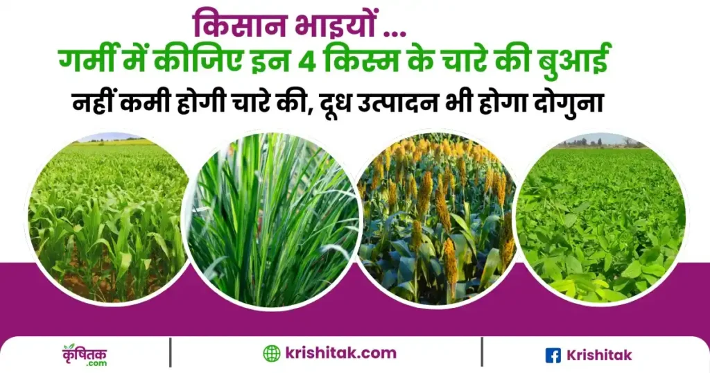 Garmi Me Sabse Achchha Chara