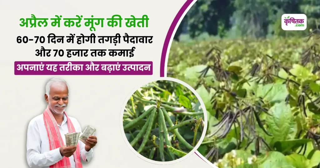 अप्रैल में मूंग की खेती