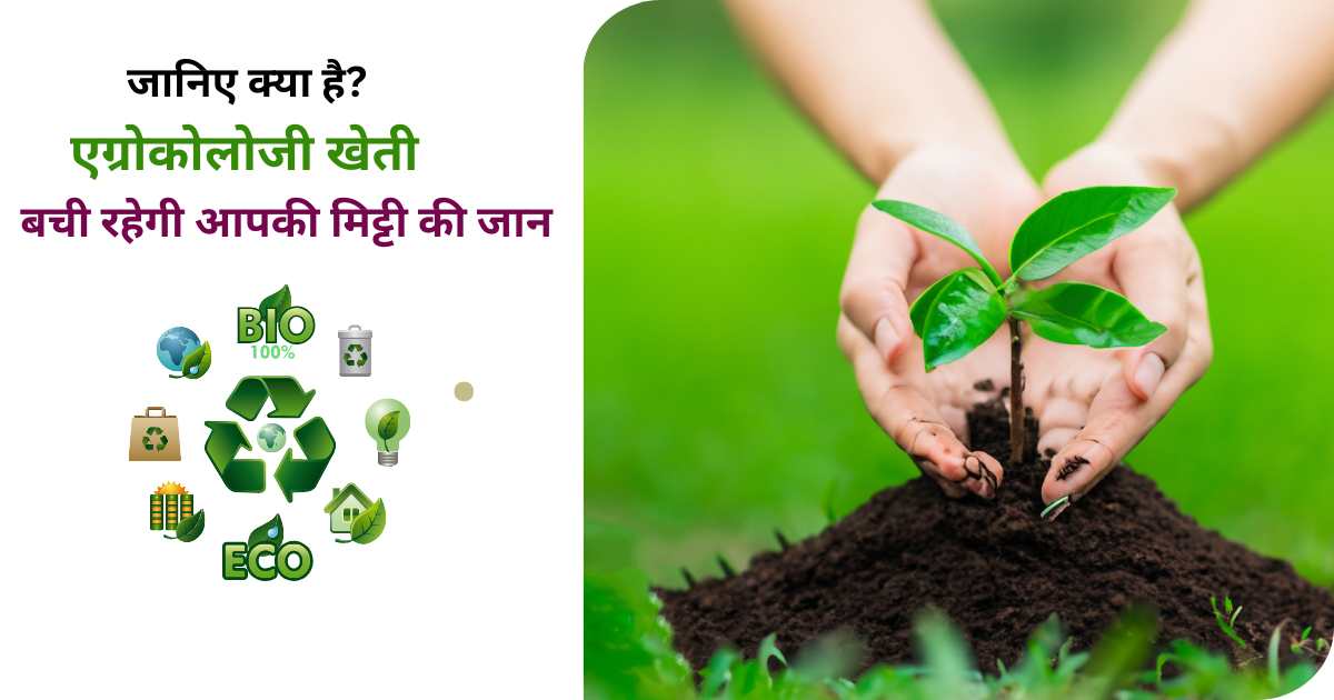 What is the goal of agroecology