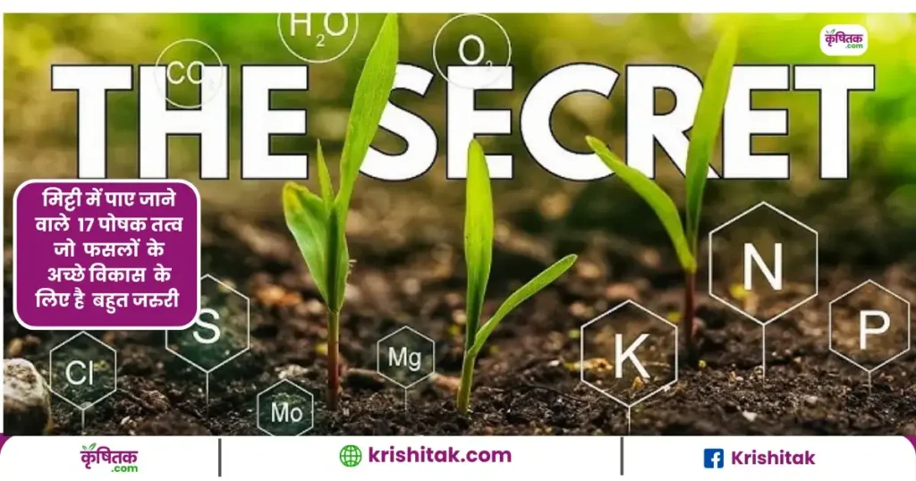 17 essential chemical elements for plants