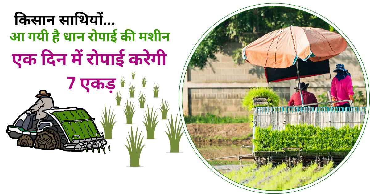 Rice transplanter