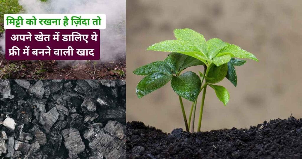 Biochar in Farming