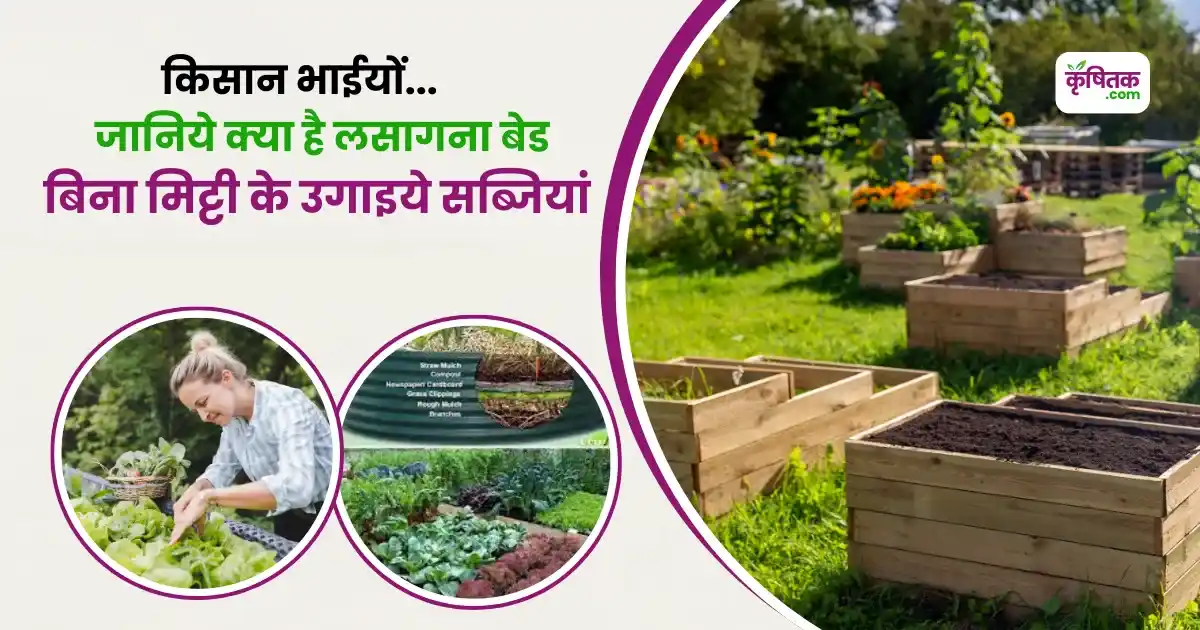 lasagna Bed Kaise Banaye