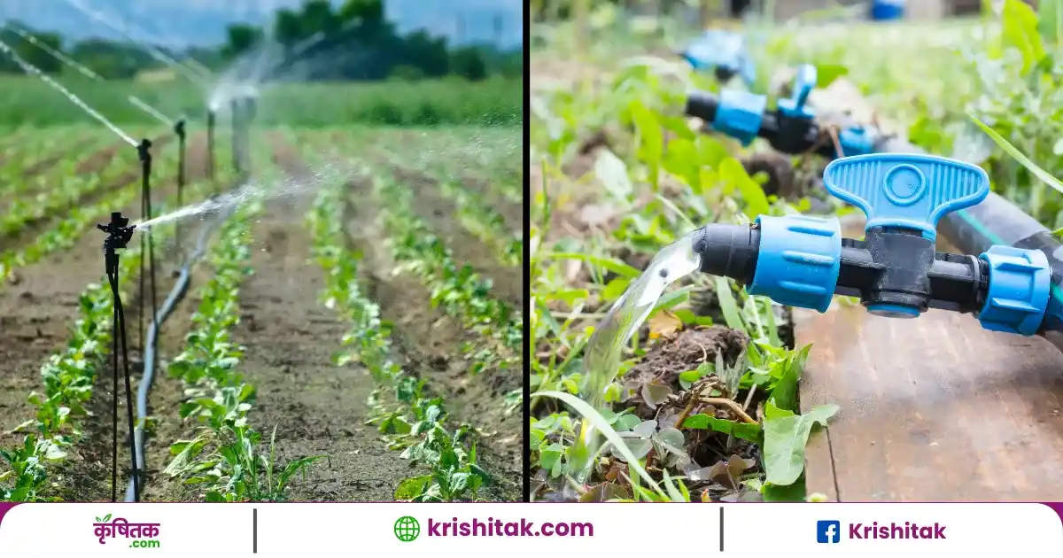 Per Drop More Crop Scheme