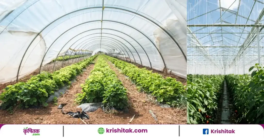 GreenHouse Farming in Hindi
