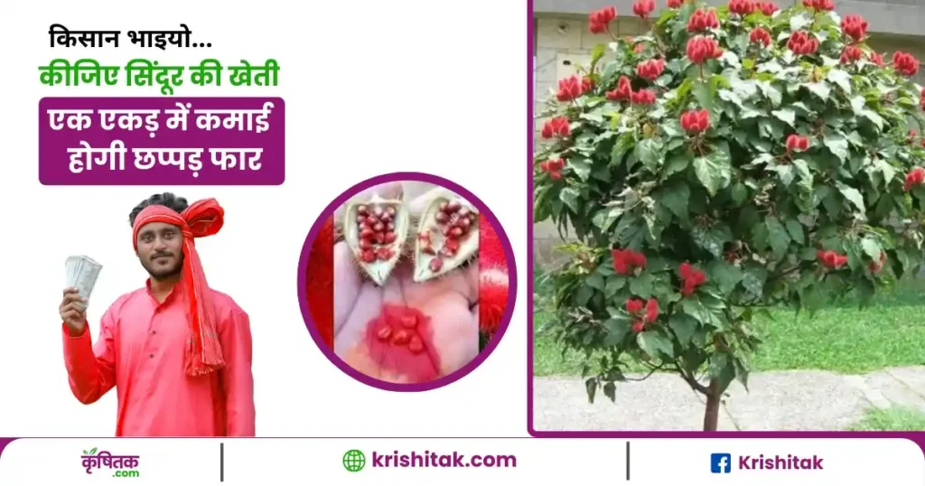 Sindoor Ki Kheti