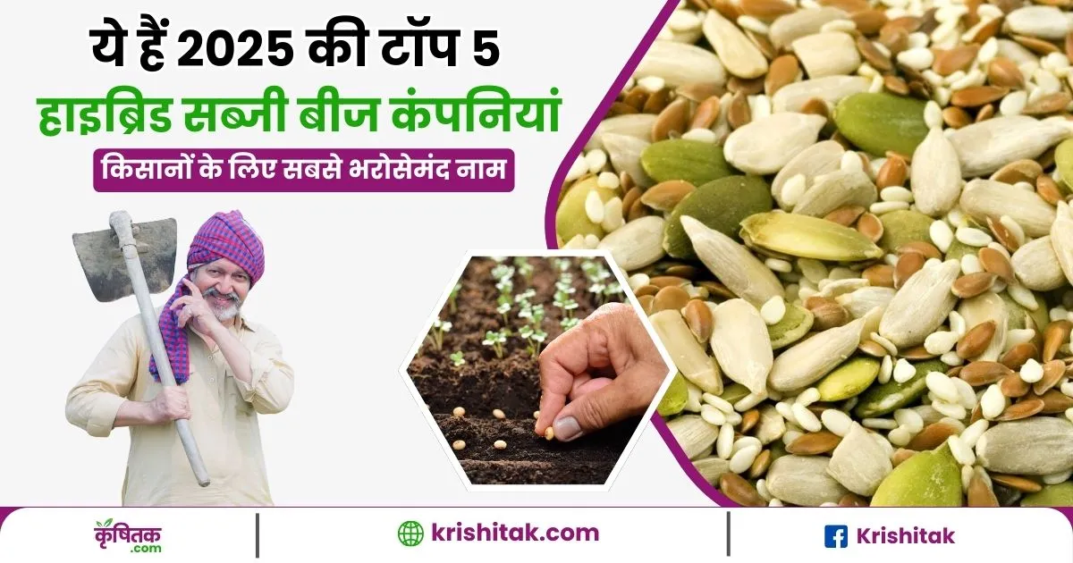 Top 5 Hybrid Sabzi Seeds Company 2025
