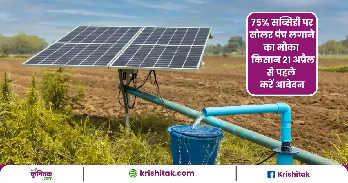 Subsidy On Solar Pump