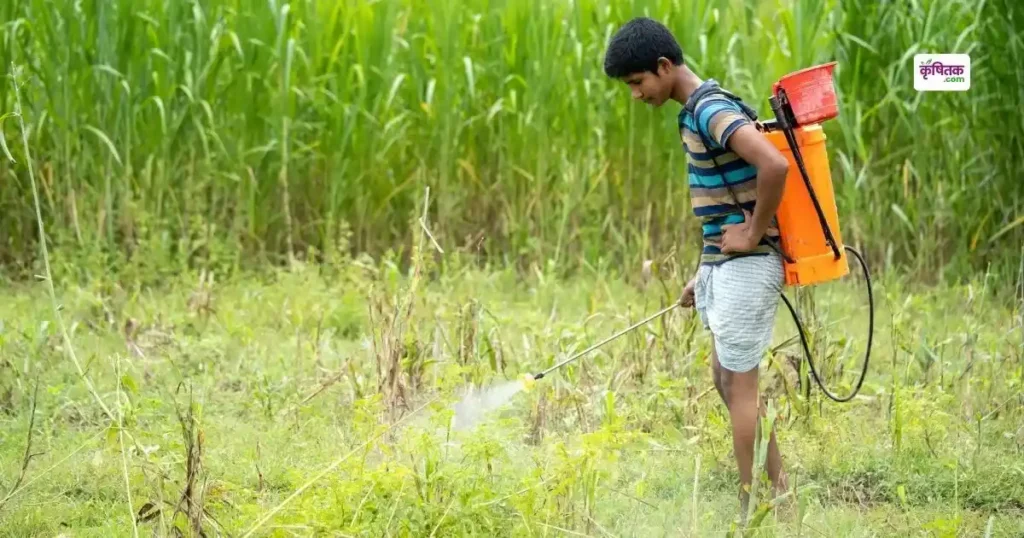इन 49 कीटनाशकों पर सरकार ने लगाया बैन, किसानों को दी जा रही खास चेतावनी!