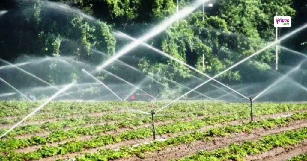 Drip and Mini Sprinkler Subsidy 2025