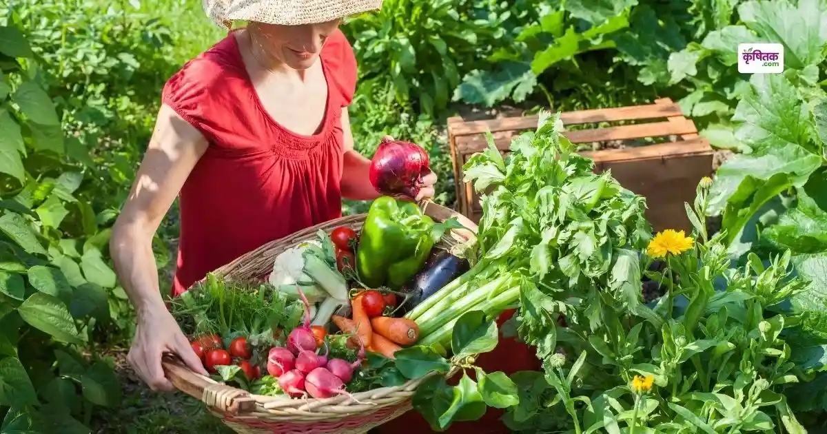 Kitchen Garden Tips