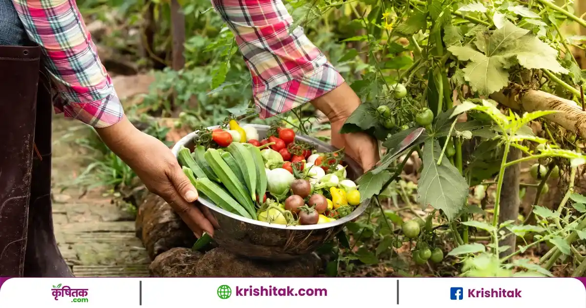 अप्रैल में बोई जाने वाली टॉप फसलें, जो दिलाएंगी कम लागत में ज्यादा मुनाफा