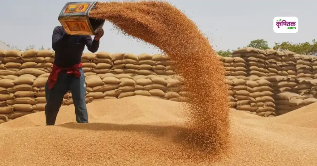 MSP Wheat Price 2025