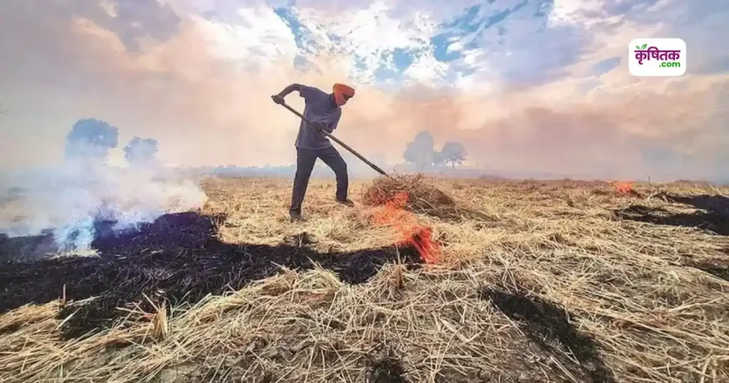 अब पराली जलाना पड़ेगा महंगा! खेतों पर ड्रोन से रखी जा रही निगरानी, होगी सख्त कार्रवाई