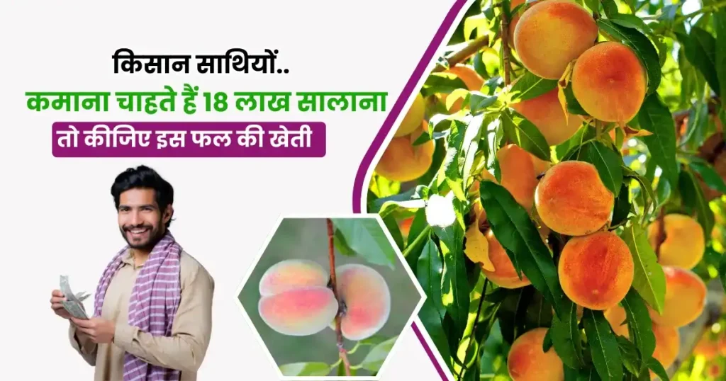 Aadu Ki Kheti