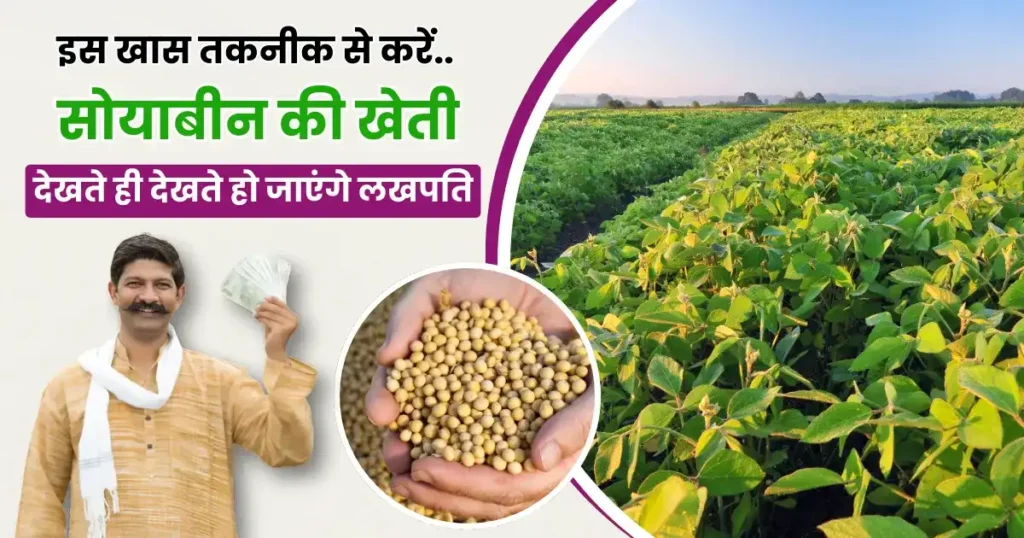 Soyabean Ki Kheti