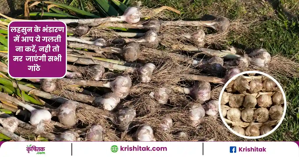 Lahsun Bhandaran Ka Tarika