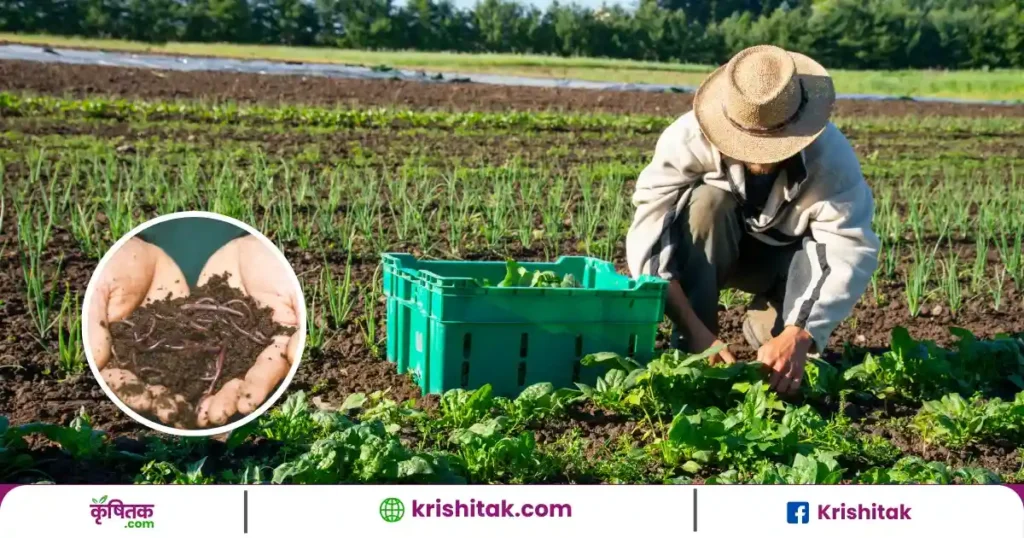 Natural Farming In UP