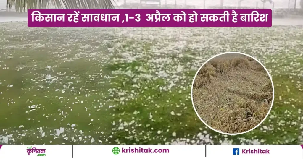 agriculture tips for farmers