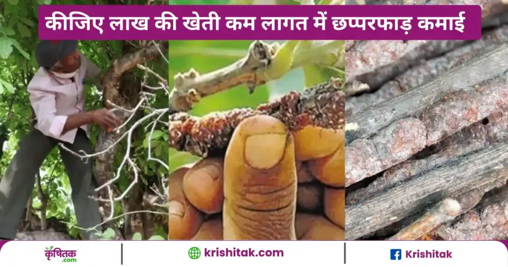 Lakh Ki Kheti