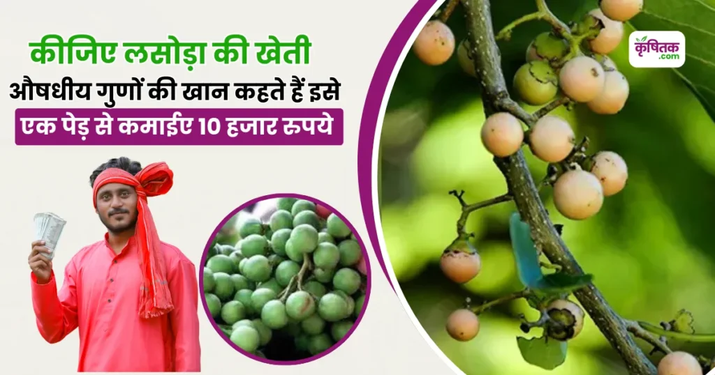 Lasoda Farming
