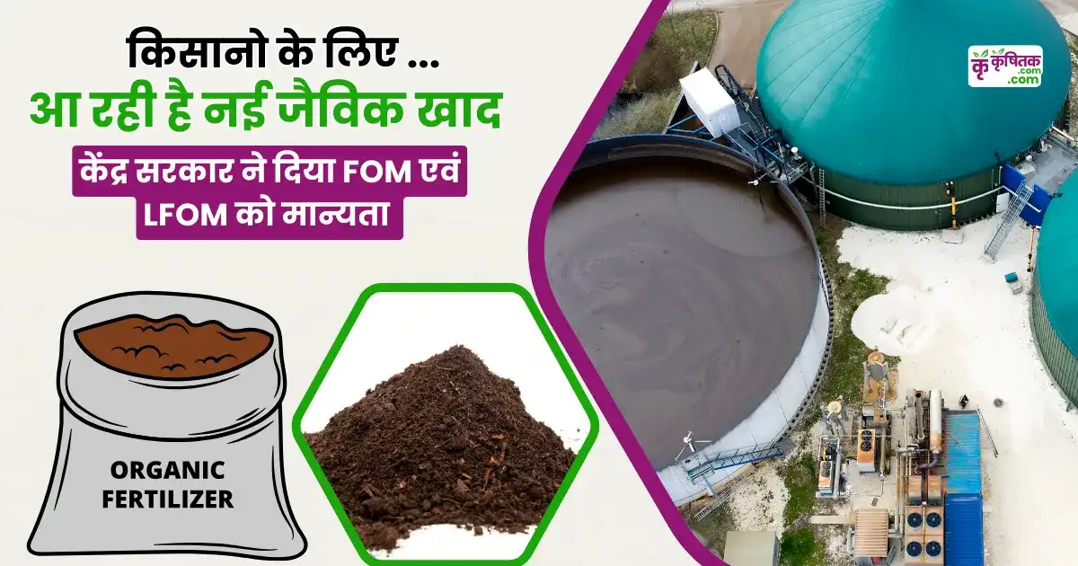 Best Organic Fertilizer