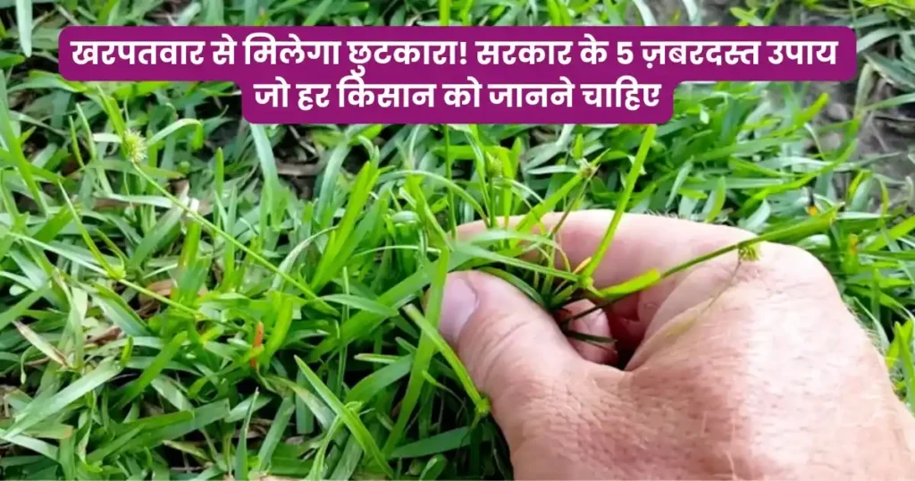 खरपतवार से मिलेगा छुटकारा! सरकार के 5 ज़बरदस्त उपाय जो हर किसान को जानने चाहिए