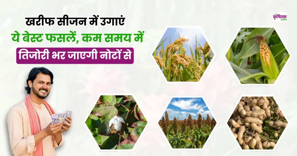 Best Kharif Crops