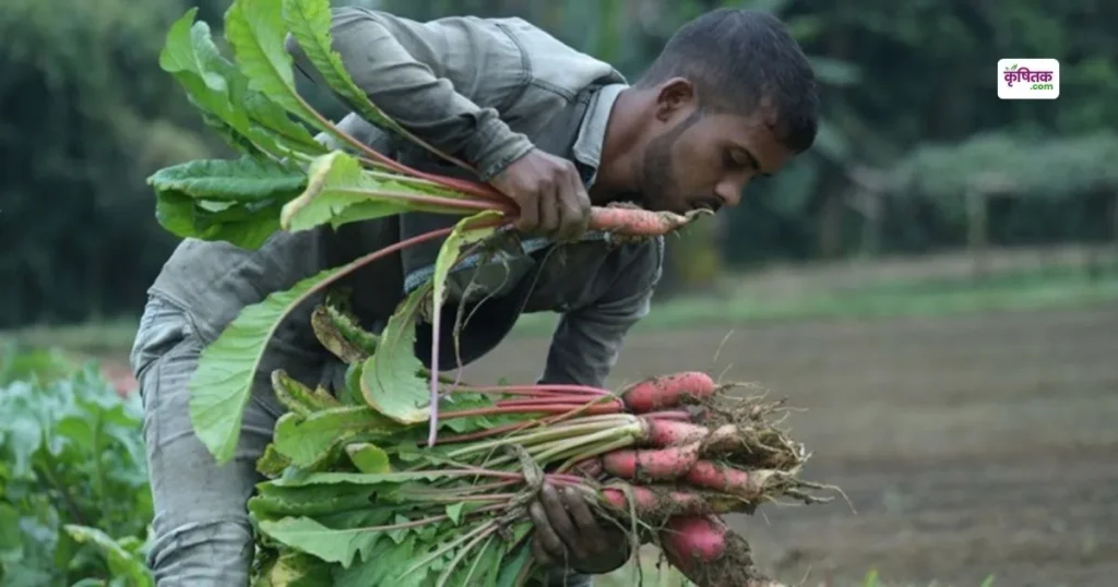 Pusa advisory for farmer