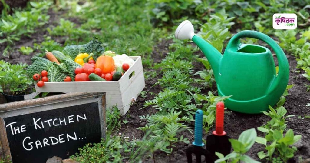 Kitchen Garden Tips