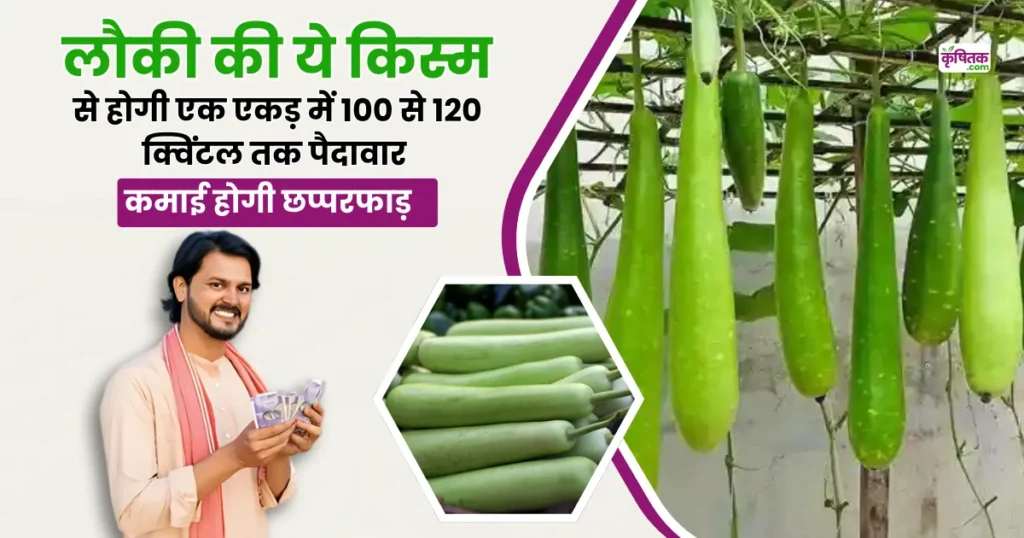 Bottle Gourd Farming Tips