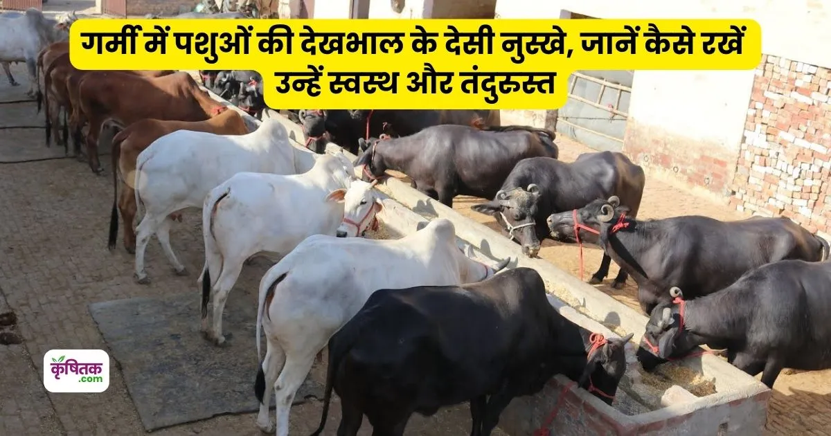 Garmi Mein Pashu Dekhbhal ke Nuskhe