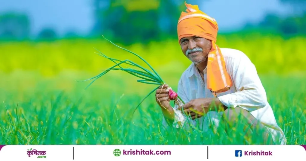 Onion Farming Tips in Summer