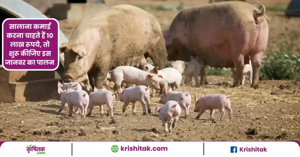 Suar Palan Kaise Karen