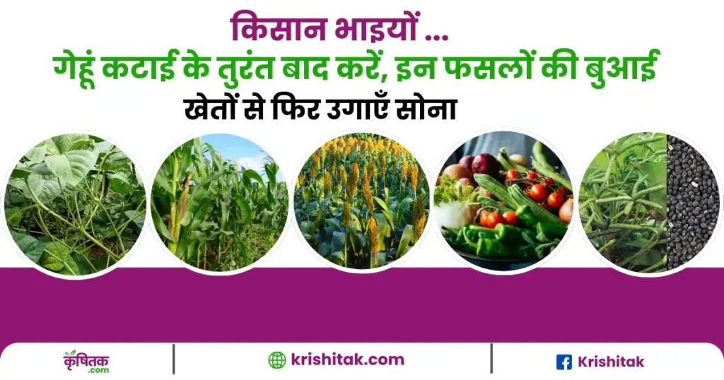 Agriculture Tips