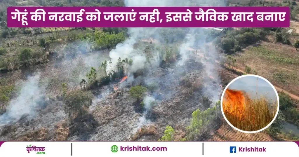Crop Residue In Organic Farming