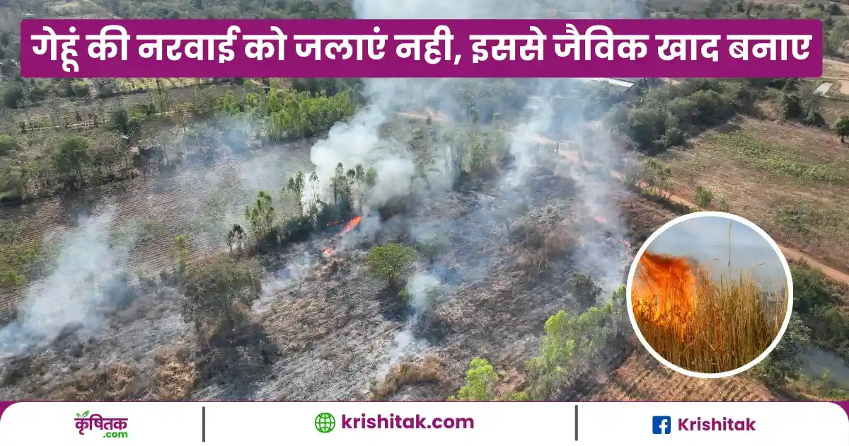 Crop Residue In Organic Farming