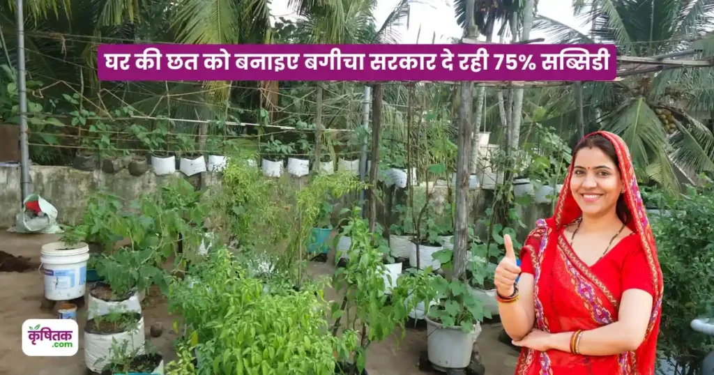 Rooftop Farming Yojana
