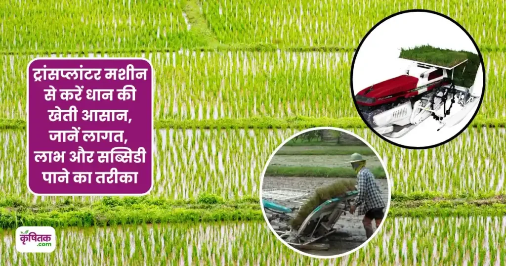 राइस ट्रांसप्लांटर मशीन