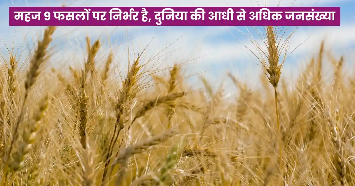 Agriculture News