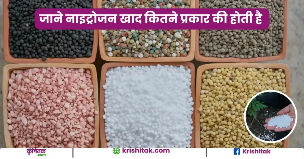 Type Nitrogen fertilizer