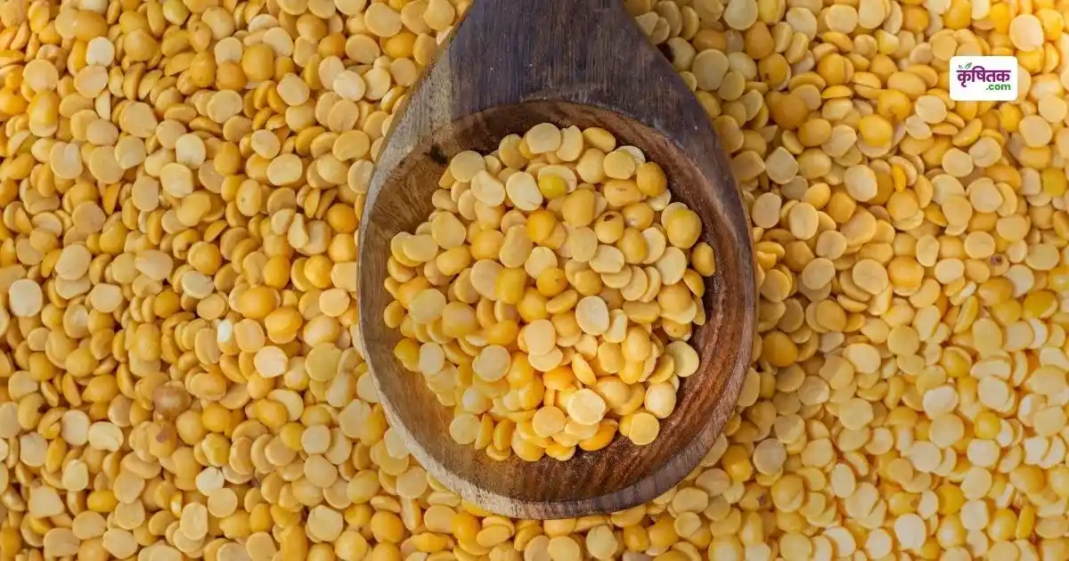Pulses Procurement
