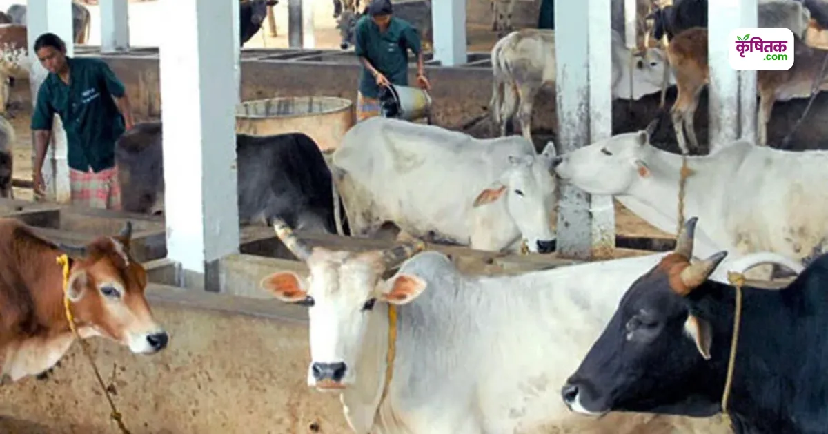 Animal Husbandry Tips