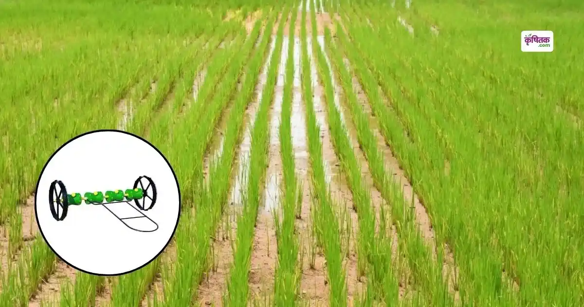 Pusa Paddy Seeder Machine