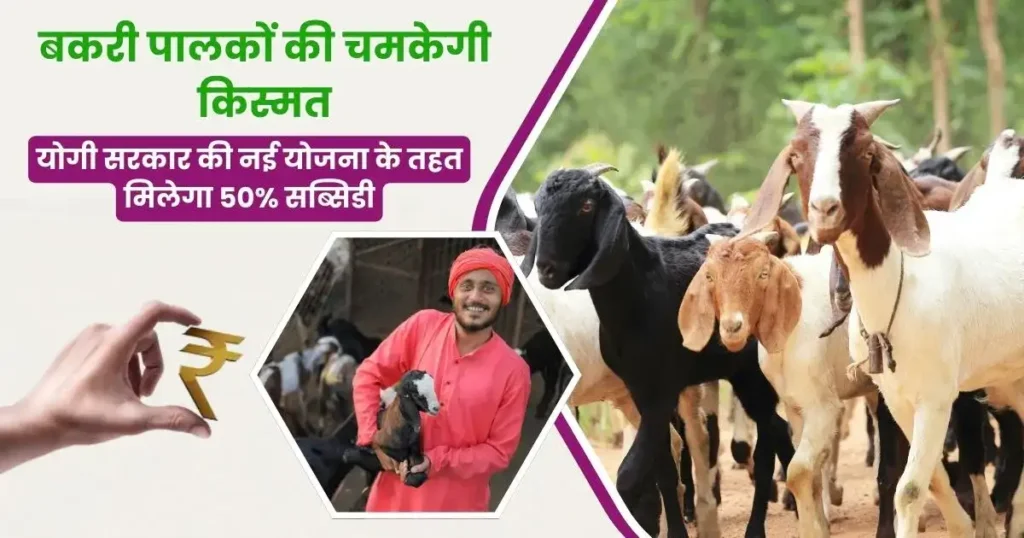 UP Bakri Palan Yojana