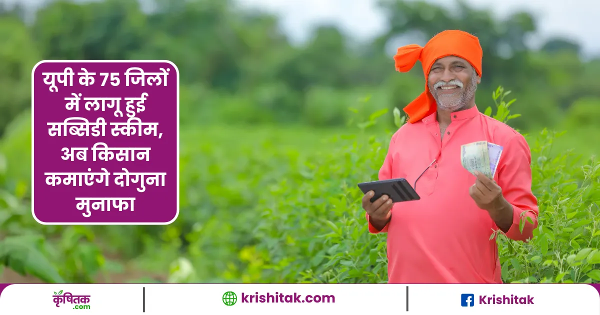 यूपी के 75 जिलों में लागू हुई सब्सिडी स्कीम, अब किसान कमाएंगे दोगुना मुनाफा, बागवानी-मशरूम पर तगड़ा अनुदान