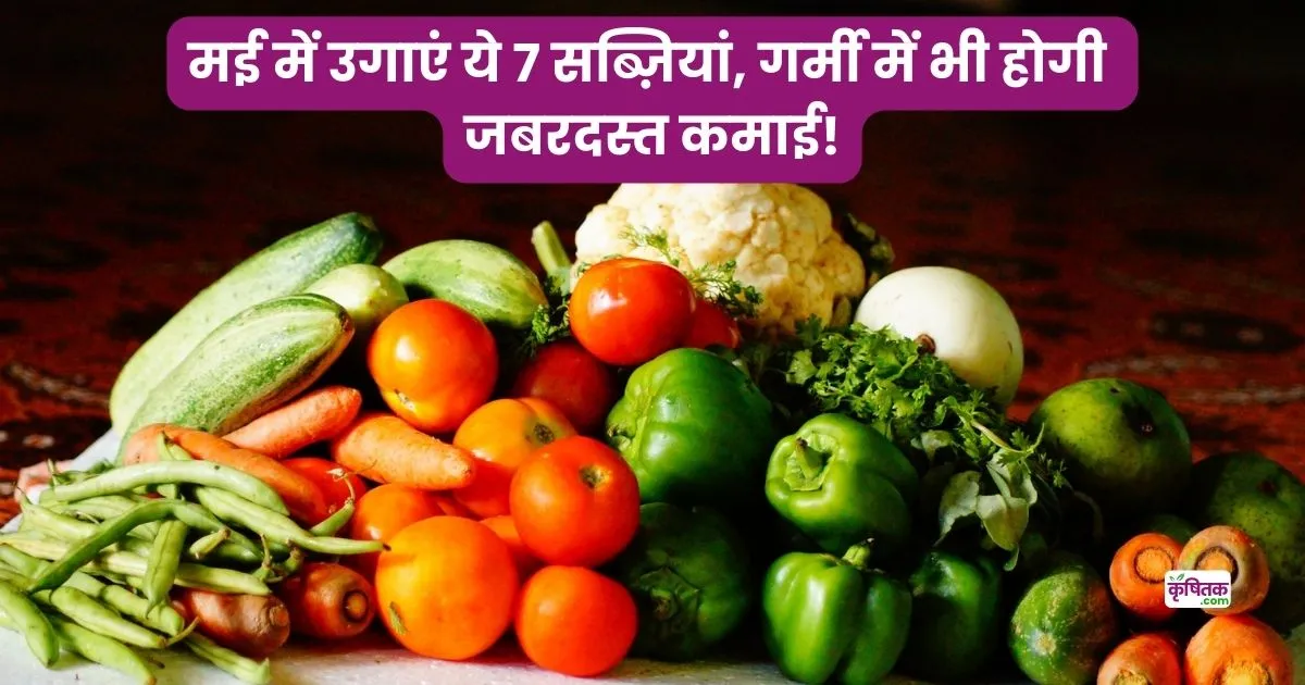May Mein Kaun si sabji Lagayen