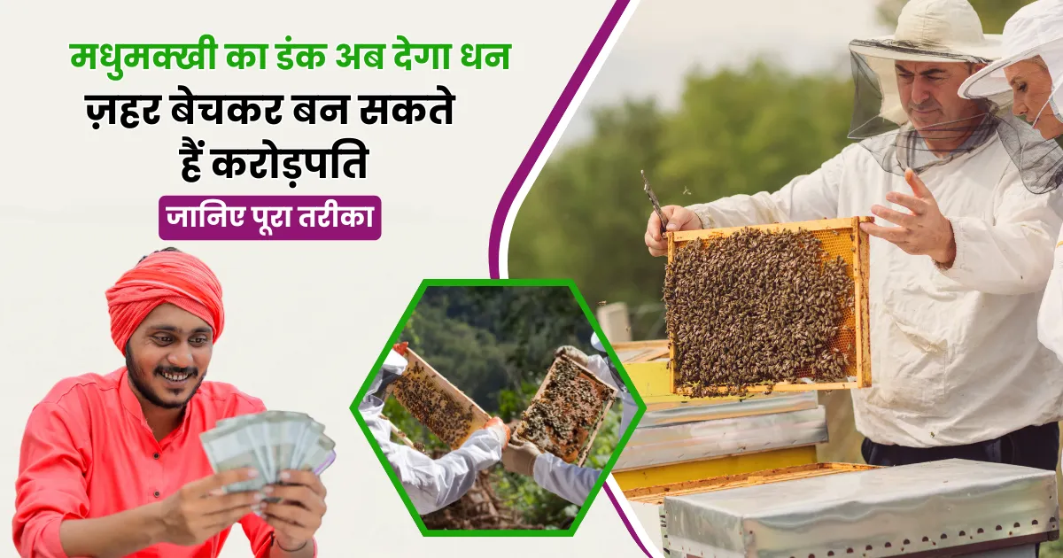 You can become a millionaire by selling bee venom