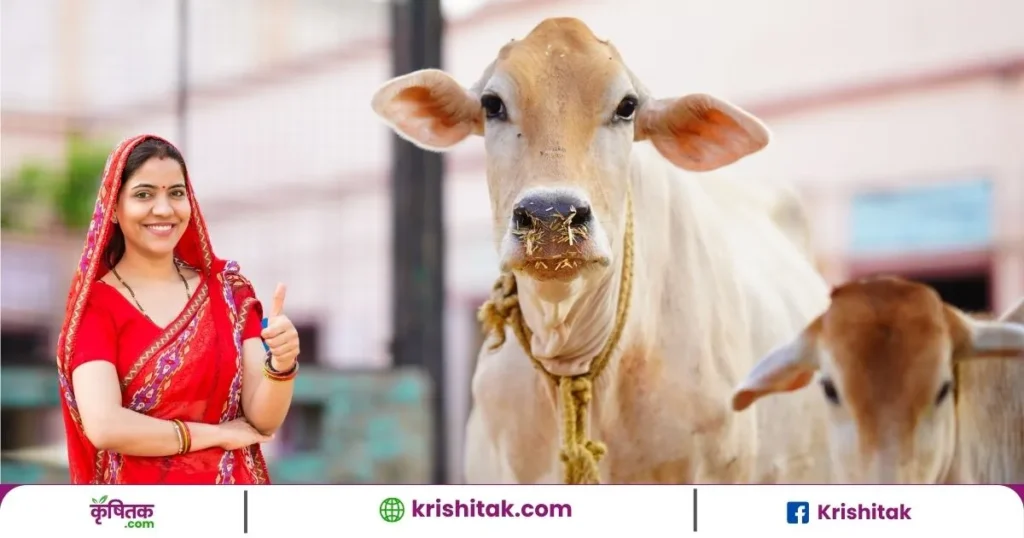 गंगा गाय महिला डेयरी योजना