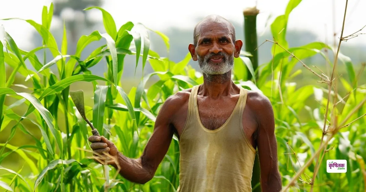 यूपी के किसान मेड़ों पर फल और खेत में सब्जी से कर रहे दोगुनी कमाई, जानें तरीका